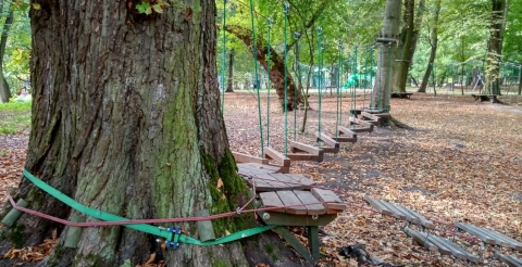 1 Niski park linowy przy Pałacu Jankowice (fot