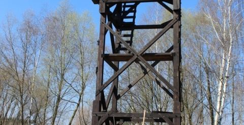 Drewniana wieża w Grodzie Pobiedziska (fot