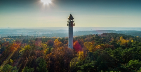1 Wieża widokowa na Dziewiczej Górze (fot