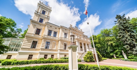 Pałac Biedrusko 6 (fot