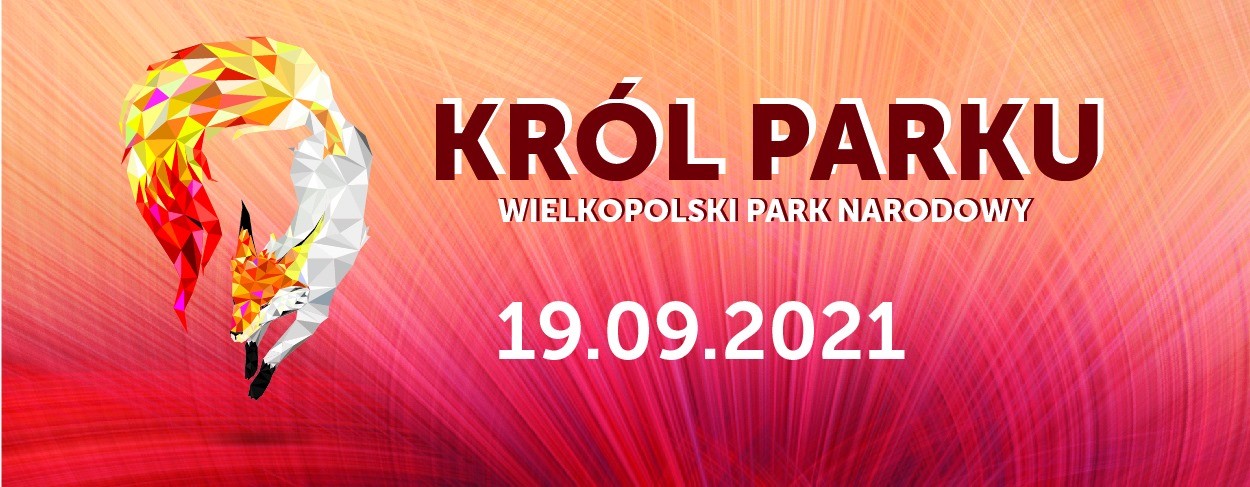 Logotyp zawod&oacute;w przedstawiający lisa z zakręconym ogonem