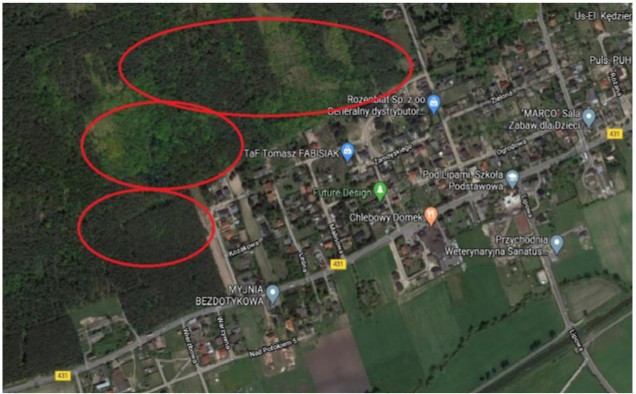 Kolejna akcja Wolontariatu WPN