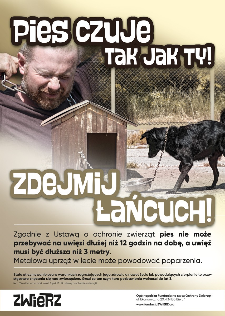 Zbliża się kolejna fala upałów, uwaga na zwierzęta!