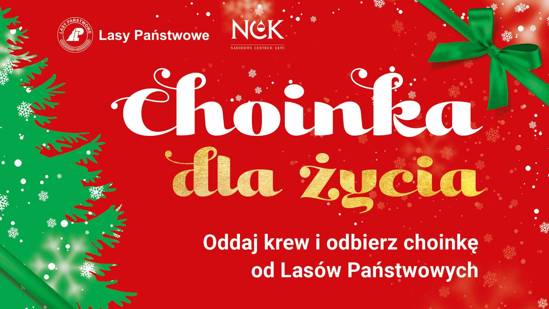 Choinka z Nadleśnictwa