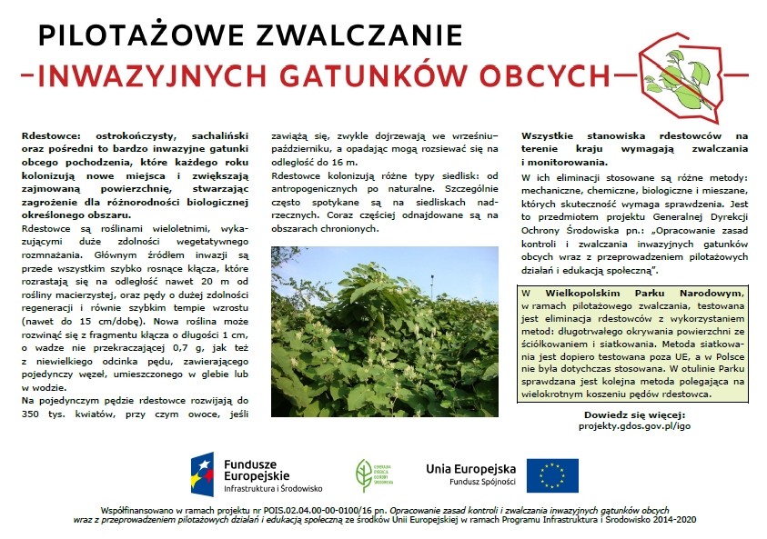 Zdjęcie przedstawia wz&oacute;r tablicy informacyjnej, z treścią merytoryczną dotyczy działań.