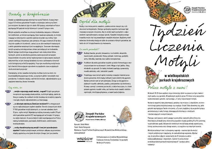 Obrazek przedstawiający motyle oraz informacje o kampani.