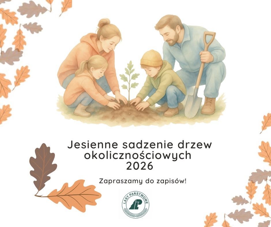 Sadzenie drzew okolicznościowych