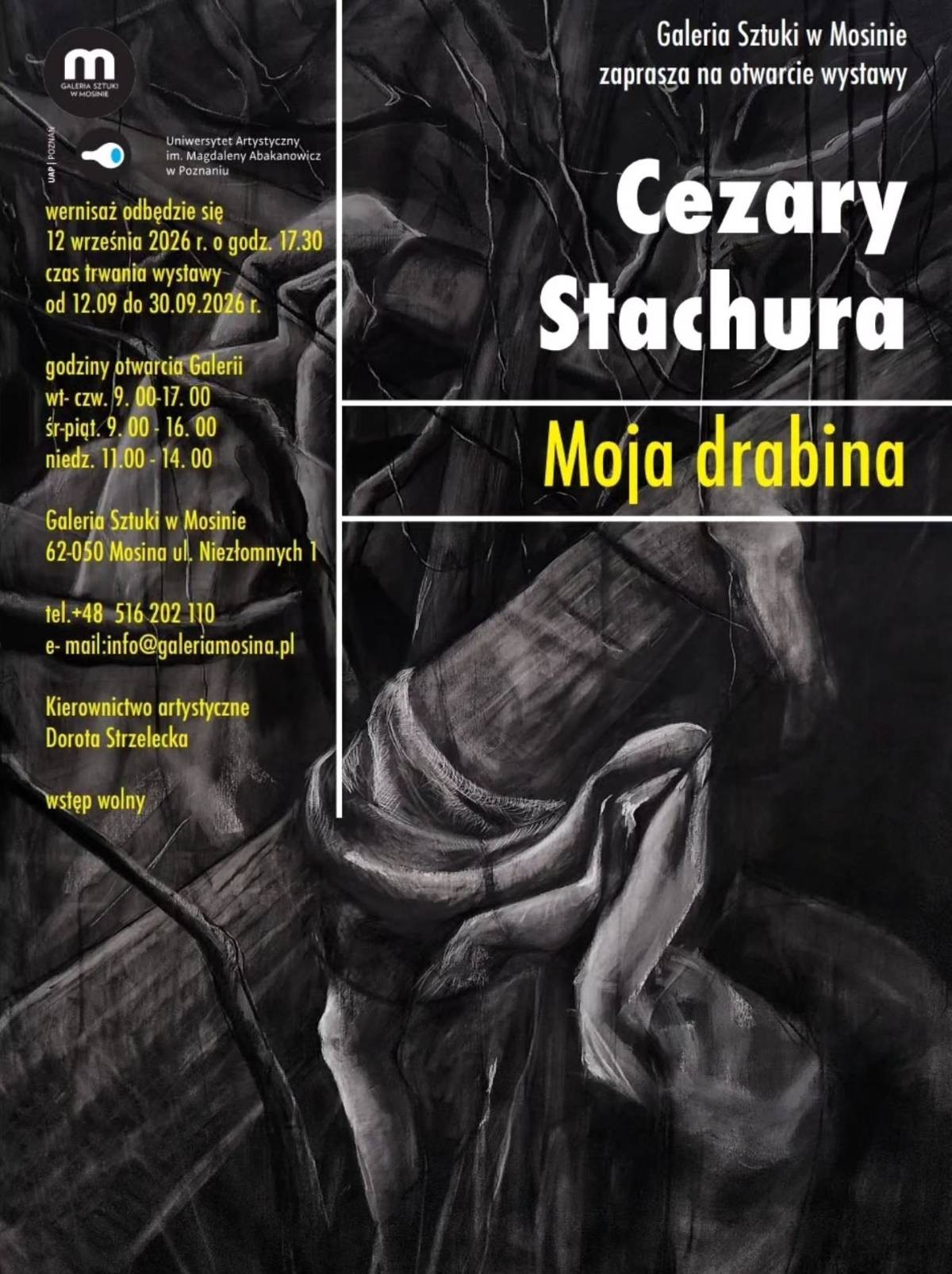Wystawa Cezarego Stachury w Galerii Sztuki w Mosinie