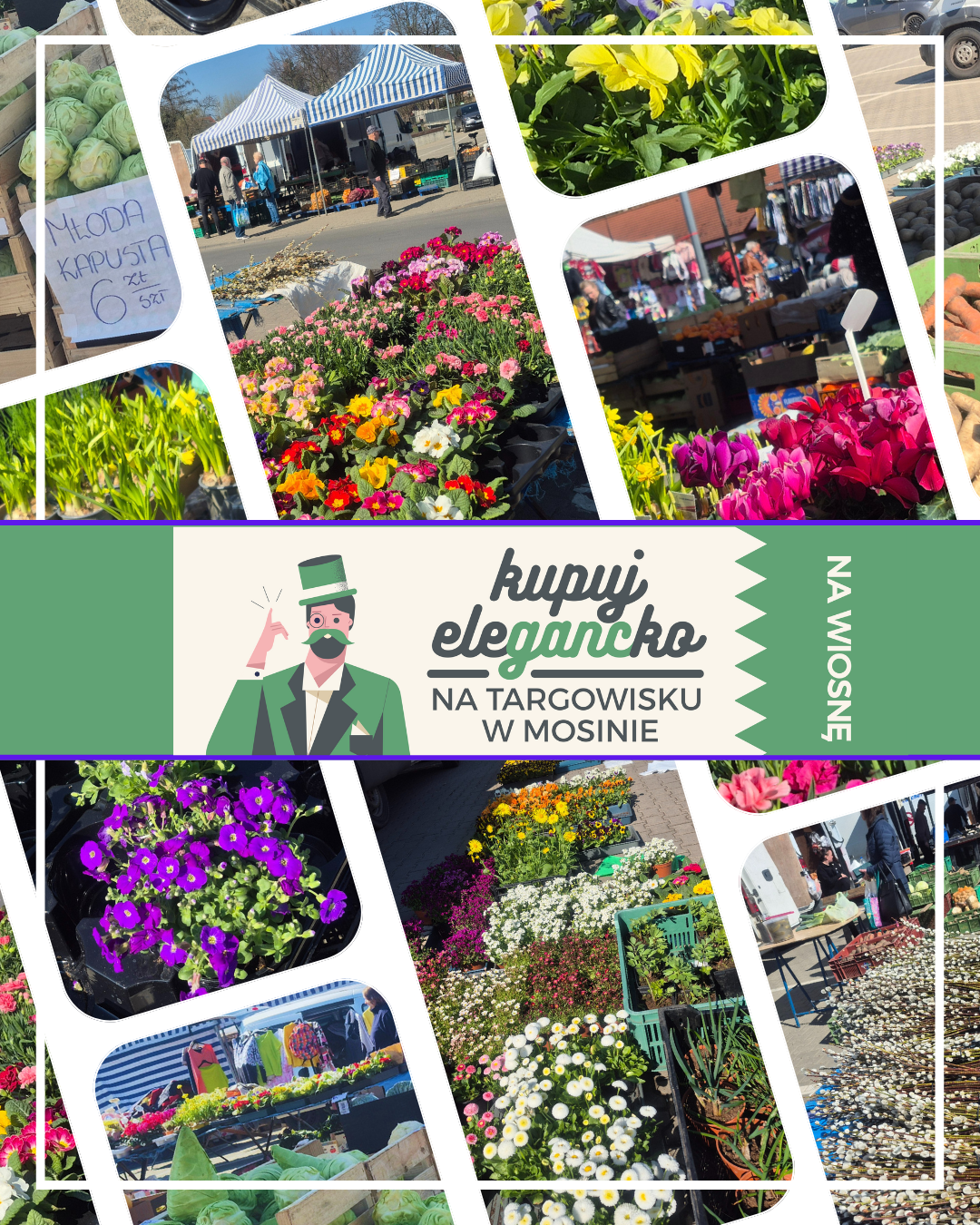 Kupuj eleGANCko na targowisku w Mosinie