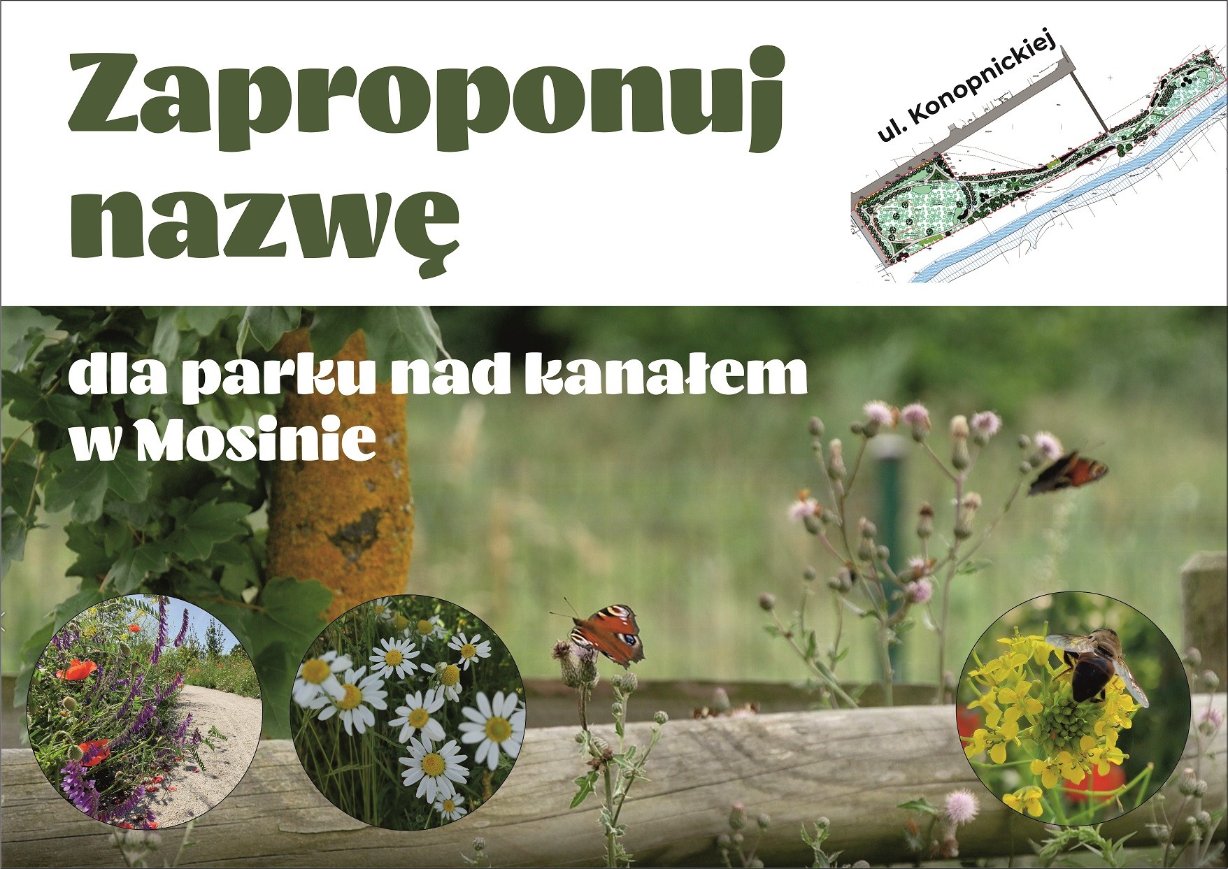 plakat zaproponuj nazwę dla parku