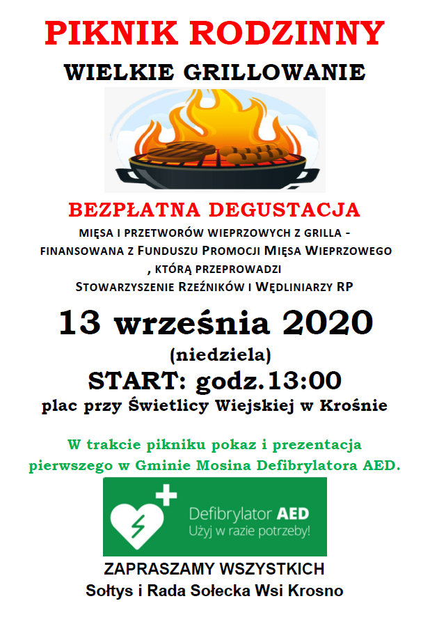 PIKNIK RODZINNY - WIELKIE GRILLOWANIE