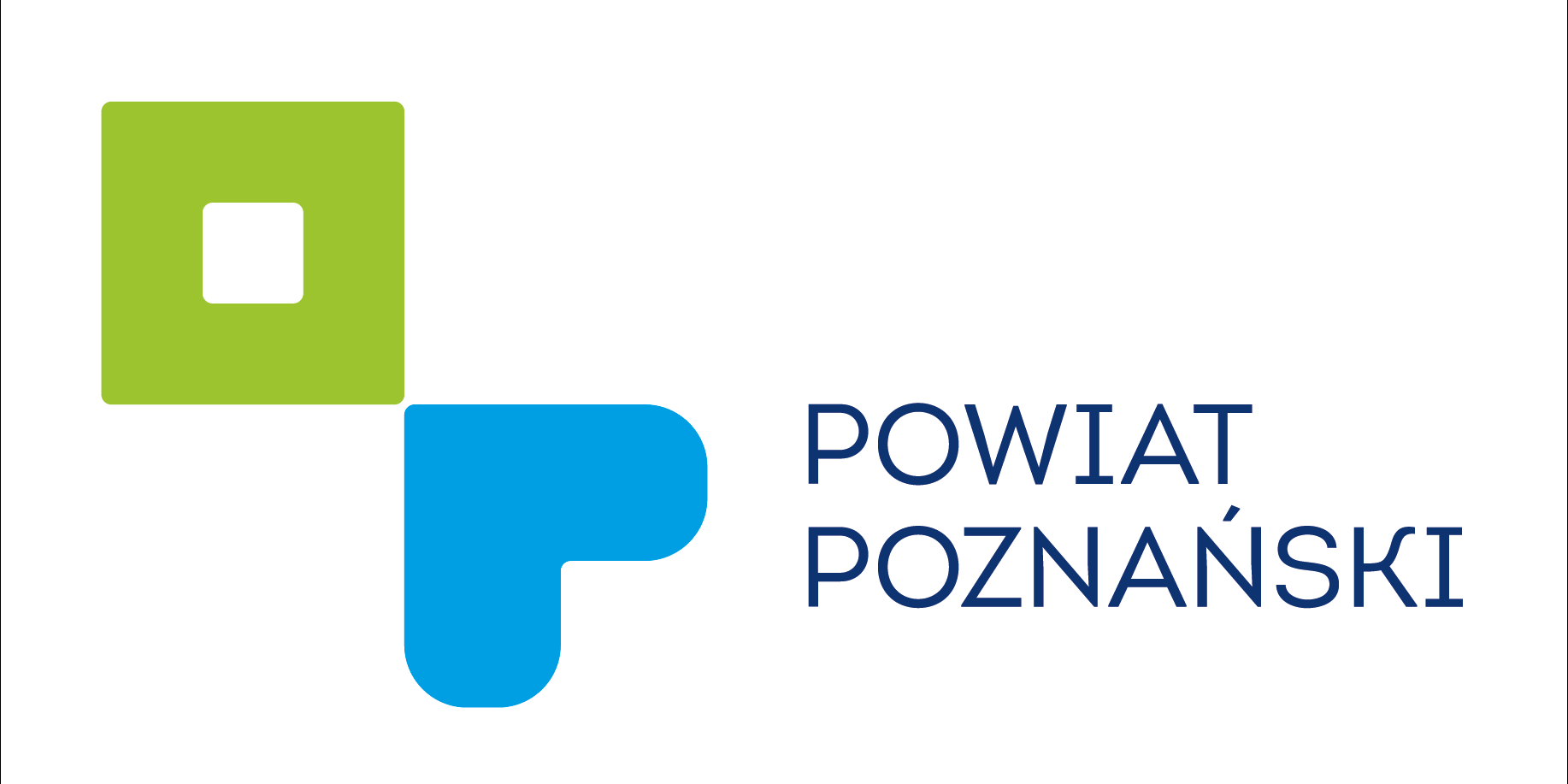 Konserwacja techniczna i estetyczna zabytku-kolumny 