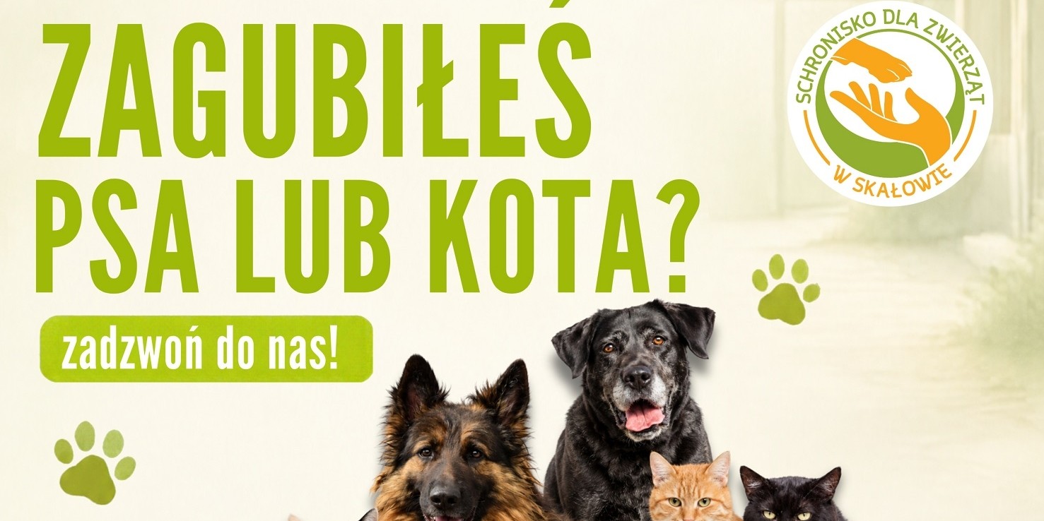 Zaginął Twój pies lub kot? 