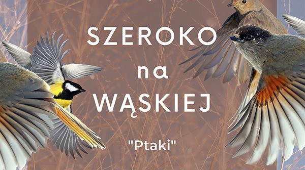 Ptaki - Szeroko na Wąskiej