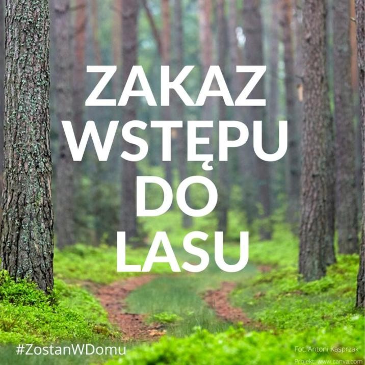 Zakaz wstępu do lasu z powodu koronawirusa