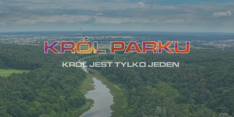 Król Parku 2018 i Grand Prix WPN Nordic Walking