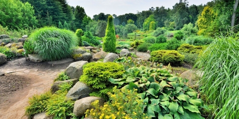 Konkurs "Zielona Gmina 2018"