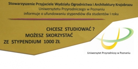 Stypendium dla studentów I roku