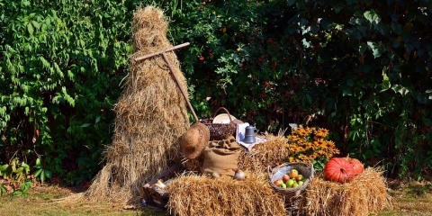Dożynki w Rogalinku