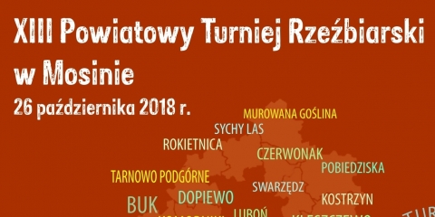 XIII Turniej Rzeźbiarski