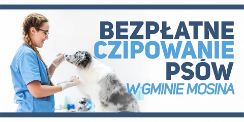 Bezpłatne czipowanie psów