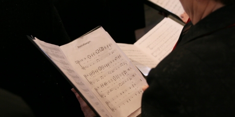 Koncert Karnawałowy