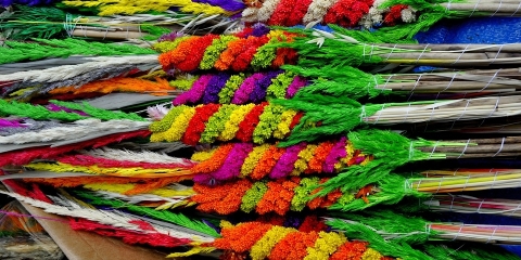  Prezentacja mosińskich palm wielkanocnych