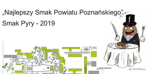 Cukier krzepi, pyry lepiej!