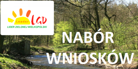 Nabór wniosków LGD