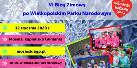 6 Bieg Zimowy po Wielkopolskim Parku Narodowym