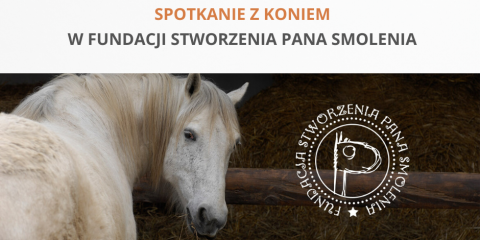 "Spotkanie z koniem"