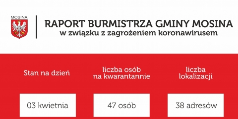 Raport Burmistrza Gminy Mosina