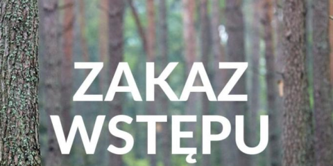  Zakaz wstępu do lasu z powodu koronawirusa