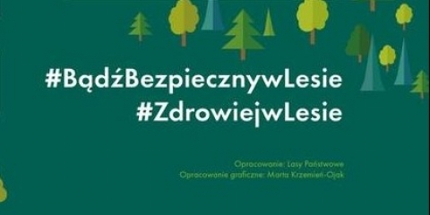 Bezpieczeństwo w lesie 