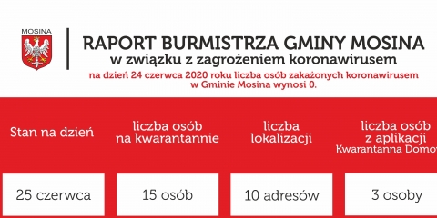 Raport Burmistrza Gminy Mosina