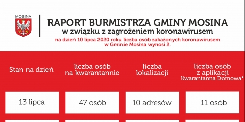 Raport Burmistrza Gminy Mosina