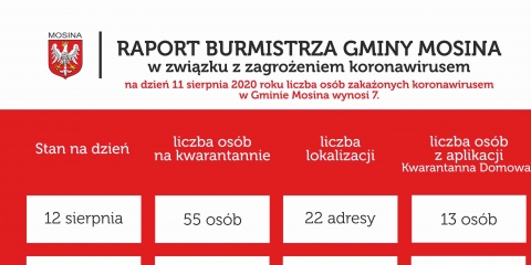 Raport Burmistrza Gminy Mosina