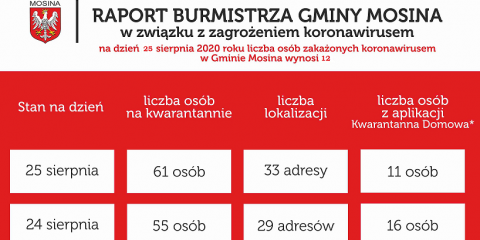 Raport Burmistrza Gminy Mosina