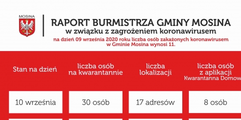 Raport Burmistrza Gminy Mosina