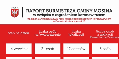 Raport Burmistrza Gminy Mosina