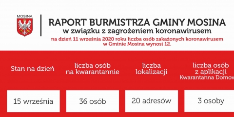 Raport Burmistrza Gminy Mosina