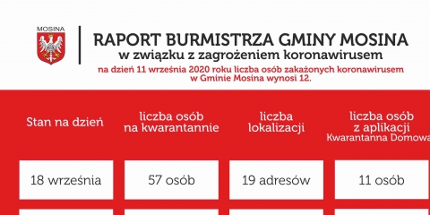 Raport Burmistrza Gminy Mosina