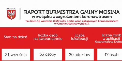 Raport Burmistrza Gminy Mosina