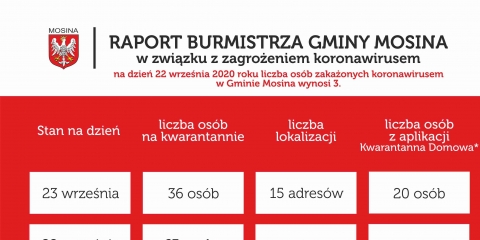 Raport Burmistrza Gminy Mosina