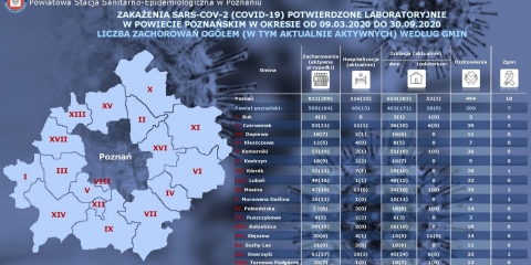Raport Burmistrza Gminy Mosina