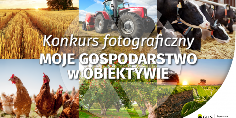 Konkurs fotograficzny