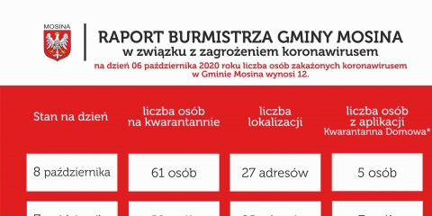 Raport Burmistrza Gminy Mosina