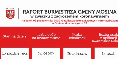 Raport Burmistrza Gminy Mosina