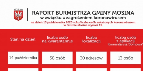 Raport Burmistrza Gminy Mosina