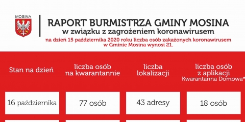Raport Burmistrza Gminy Mosina